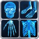 X-Ray Android icon