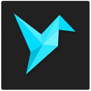 VIZER PLUS